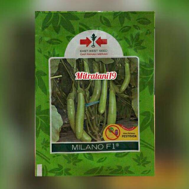 BIBIT BENIH TANAMAN SAYUR SAYURAN HIDROPONIK TERONG HIJAU MILANO 5 GRAM CAP PANAH MERAH