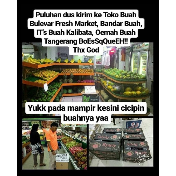 

Buah Pear Sweet Manis 11-12Kg Harga Gudang Dijamin Murah Termurah