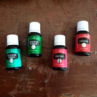 GRID 4X3 RAK KAYU ESSENTIAL OIL  BANDUNG Shopee Indonesia