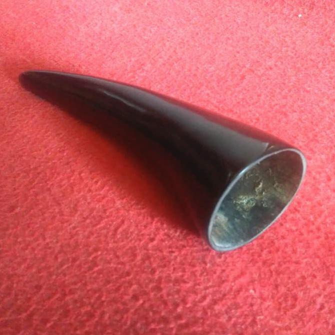 KOP BEKAM TANDUK KERBAU