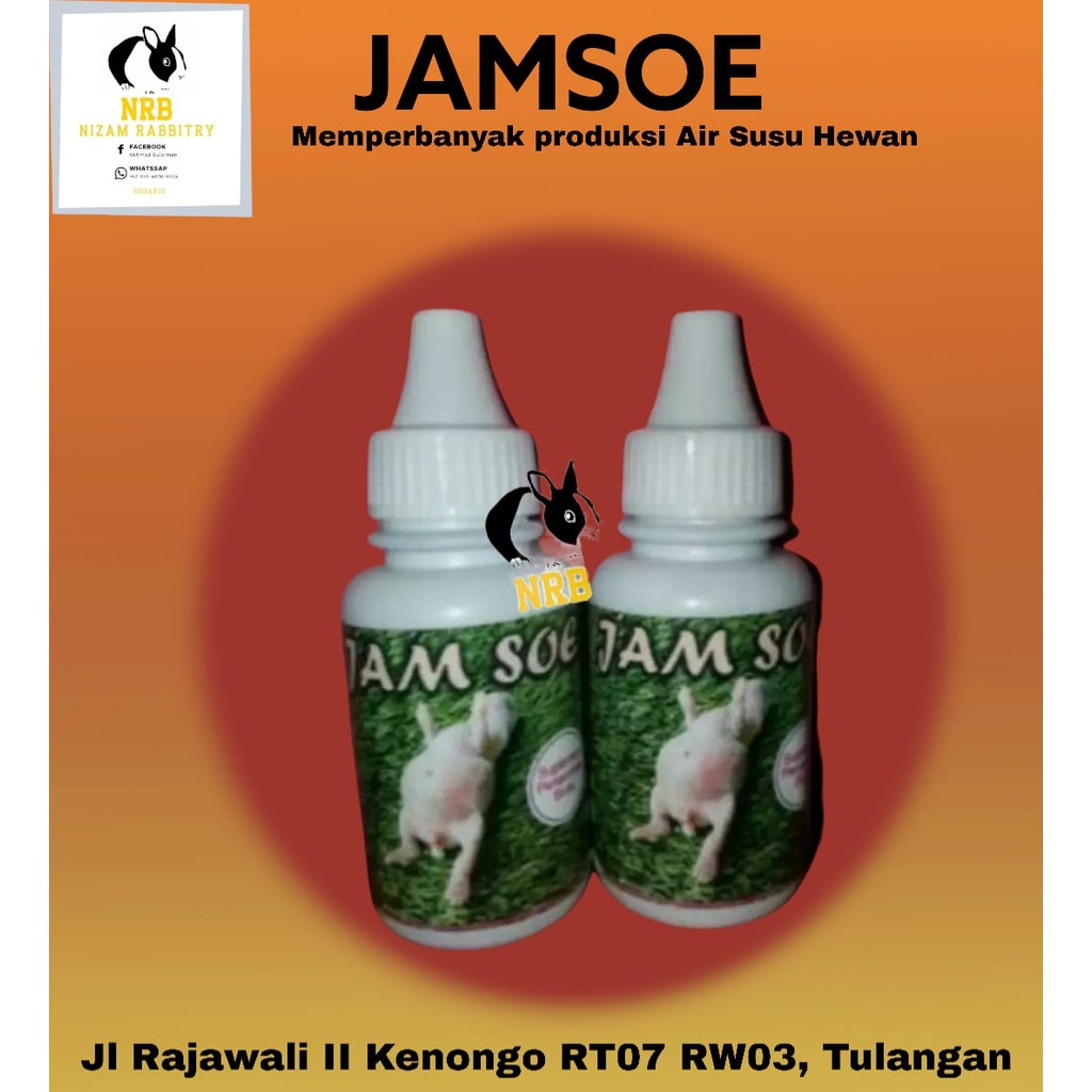 Jamsoe obat penambah air susu indukan kelinci