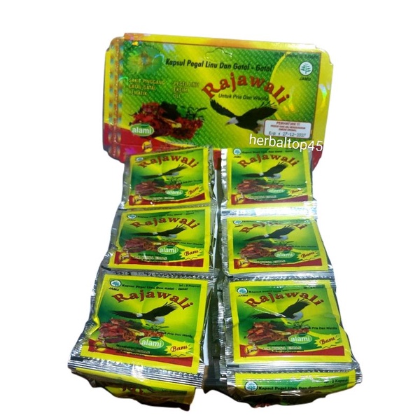 Rajawali renceng kapsul