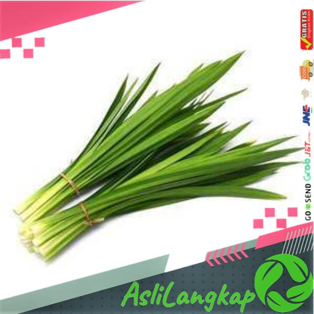 

Daun pandan wangi segar(500gram)