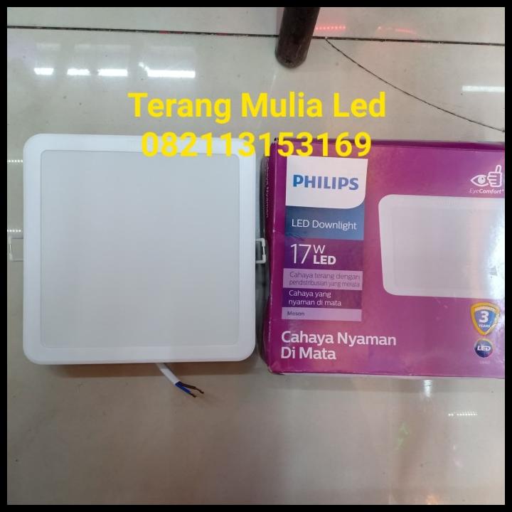 Lampu Downlight Panel Led17Wat Kotak Meson Philips / Lampu Plafon