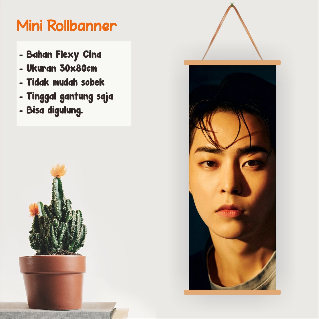 MINI ROLL BANNER EXO XIUMIN DONT FIGHT THE FEELING