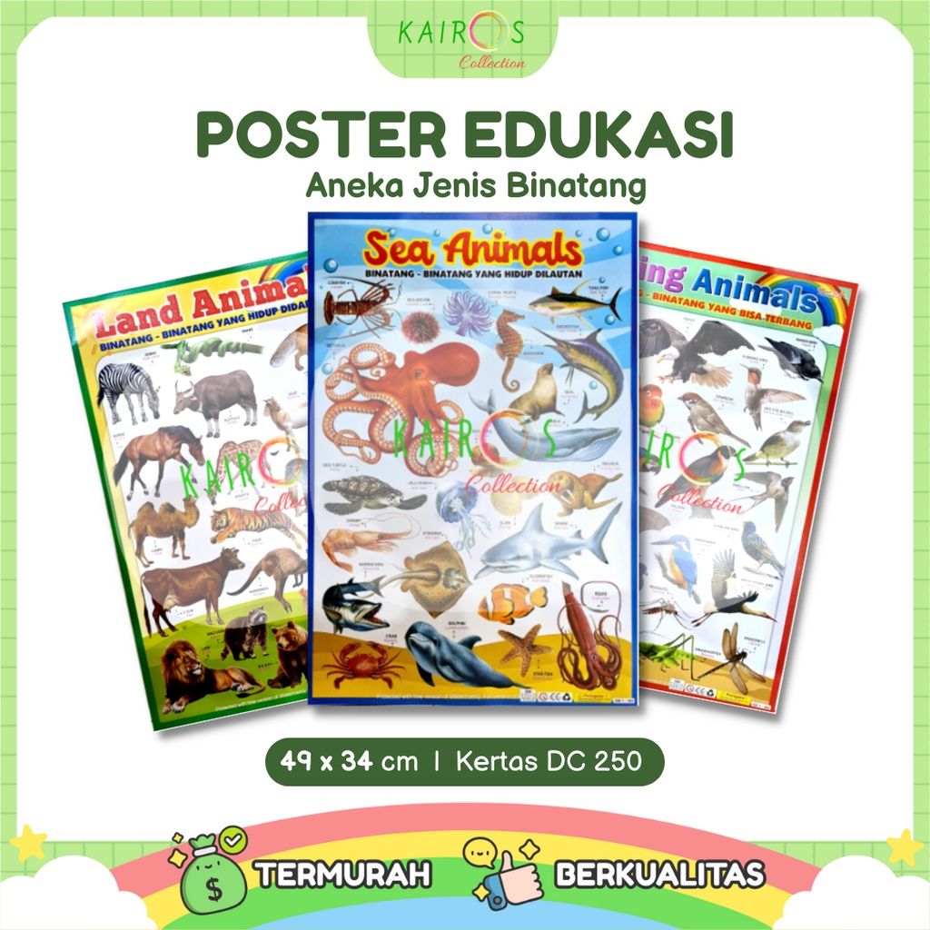 Poster Edukasi Anak Aneka Jenis Binatang Darat, Laut, Udara