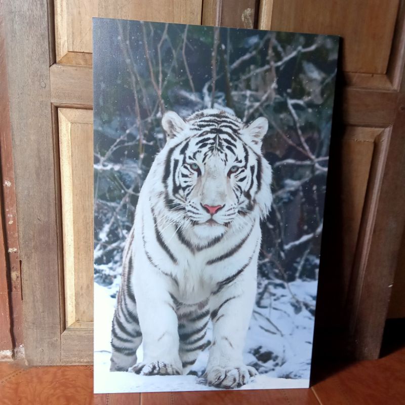 hiasan dinding jumbo gambar harimau putih