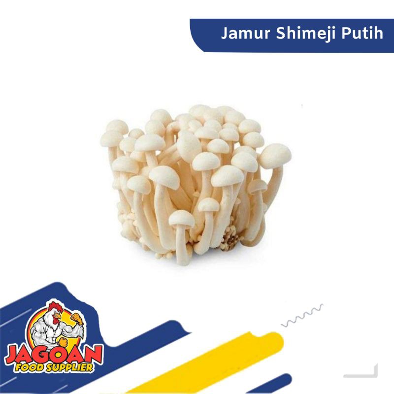 

TERMURAH!!! JAMUR SHIMEJI PUTIH / SAYUR SEGAR