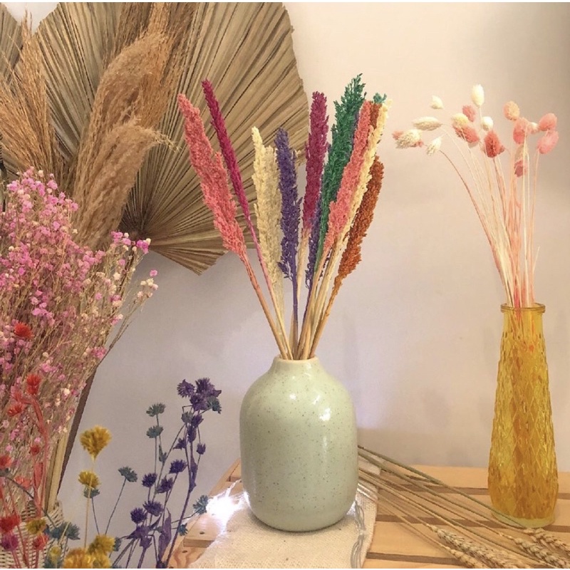 PROMO BUNGA SORGUM CANTEL  pampas rayung palem palm kering pakis ranting bunga kapas gandum Sorgum b