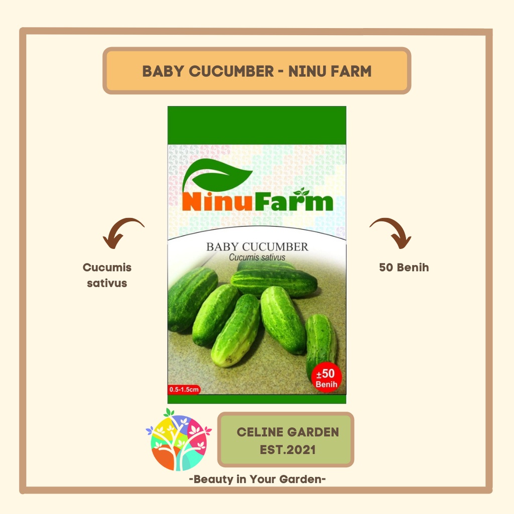 BIBIT TIMUN BABY / BABY TIMUN MINI / BABY CUCUMBER / NINUFARM / ASLI