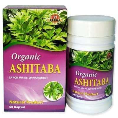 Kapsul Daun Ashitaba / Seledri Jepang Multikhasiat