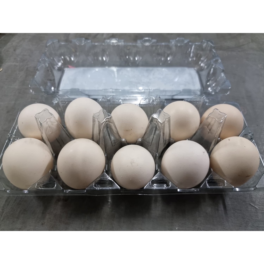Telur Ayam Kampung Omega 10 Butir/Pack Mika