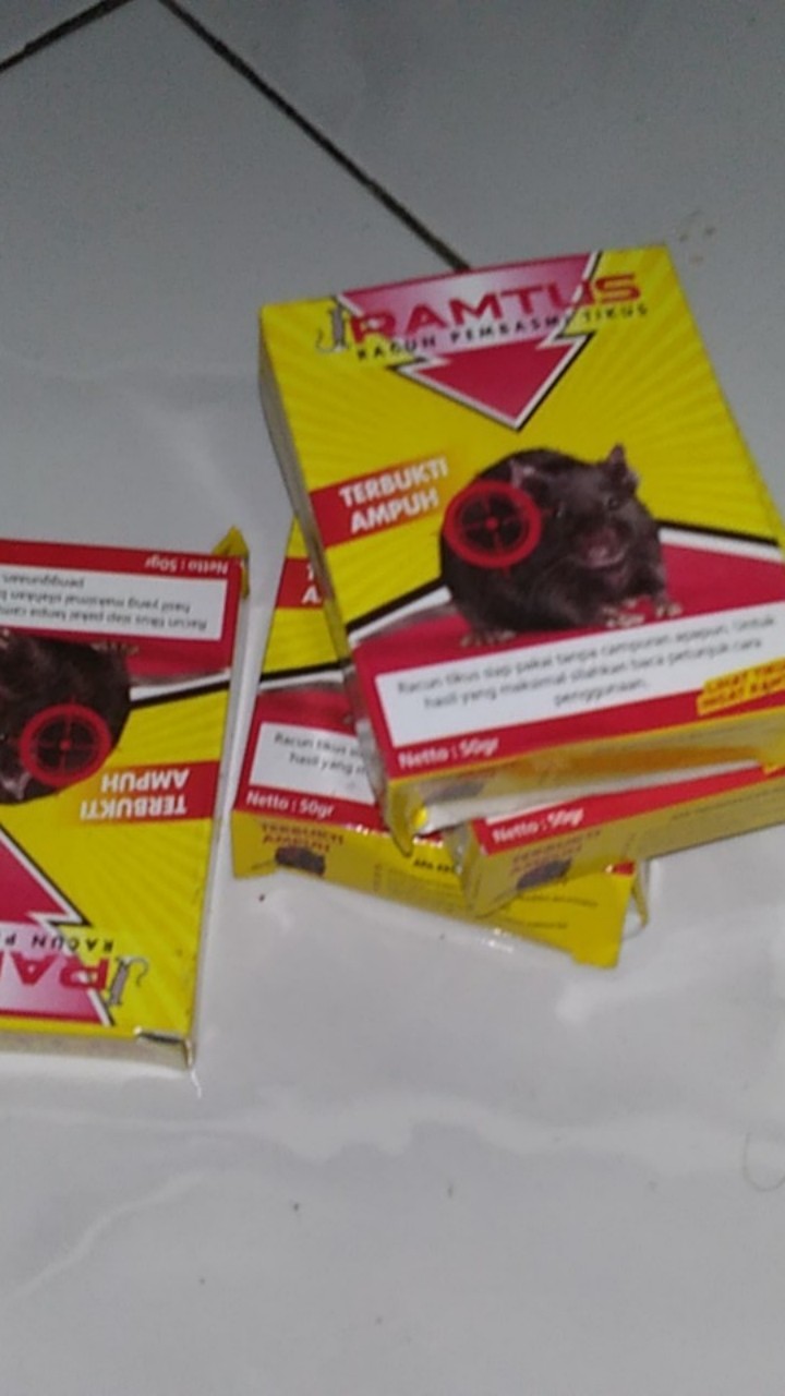 Ramtus Racun Tikus Ampuh Mati Kering Tidak Bau Pembasmi Curut Wirog Mencit Dirumah Di Mobil 4 Pack