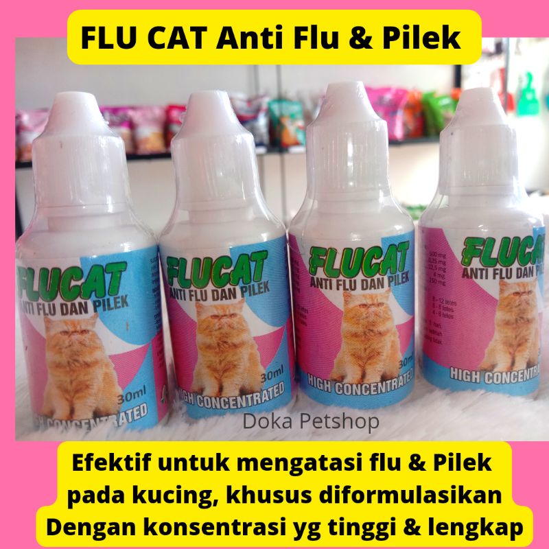 Flucat Obat Anti Flu dan Pilek Kucing