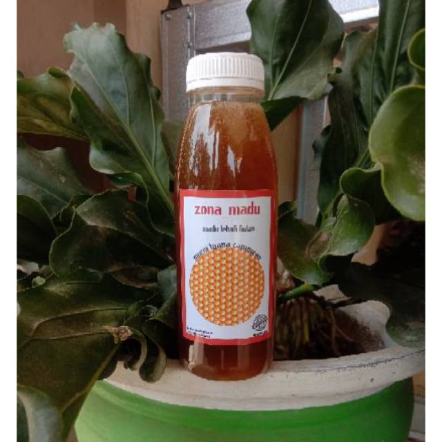 

Madu Murni Multiflora 470 gram