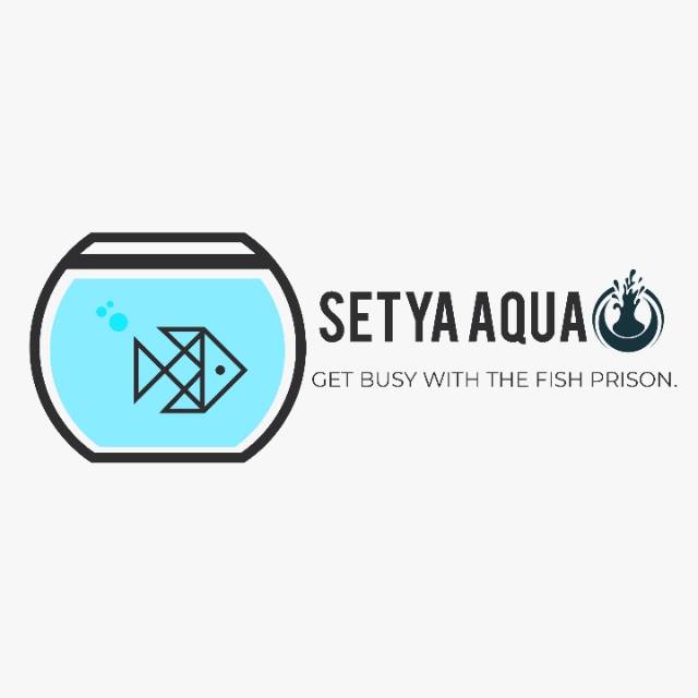 _setya.aqua25