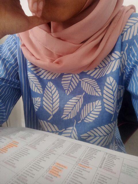 Tunik Soft Daun Salur 2 Atasan Baju Batik Wanita