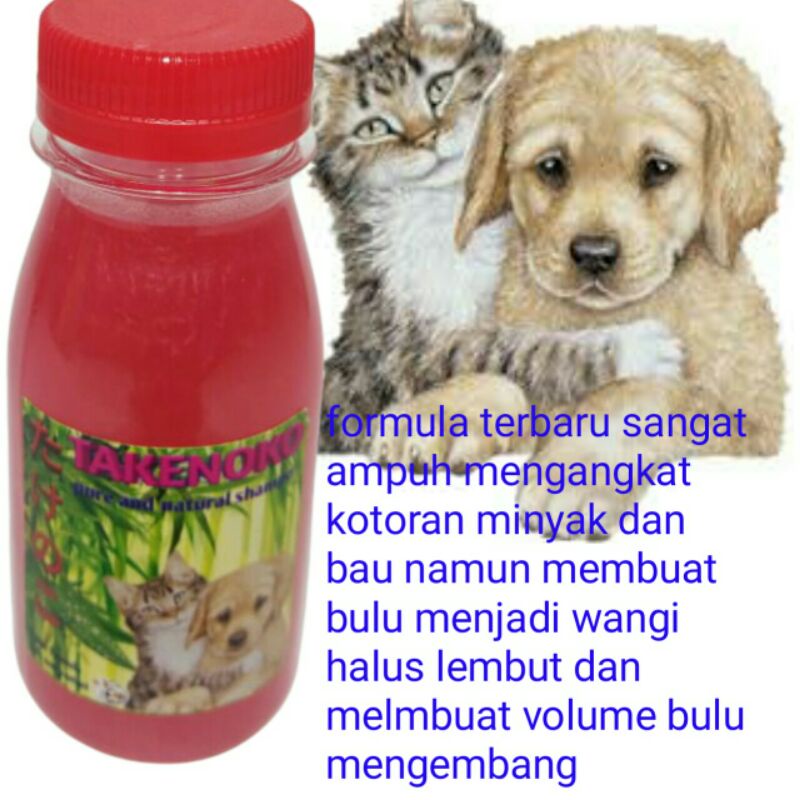 takenoko pets shampo sampo kucing anjing,musang murah anti rontok jamur natural anggora peaknose benggal termurah import mixdome