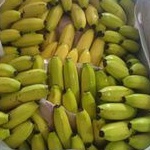 

Pisang Cavendish Sunpride 1Kg