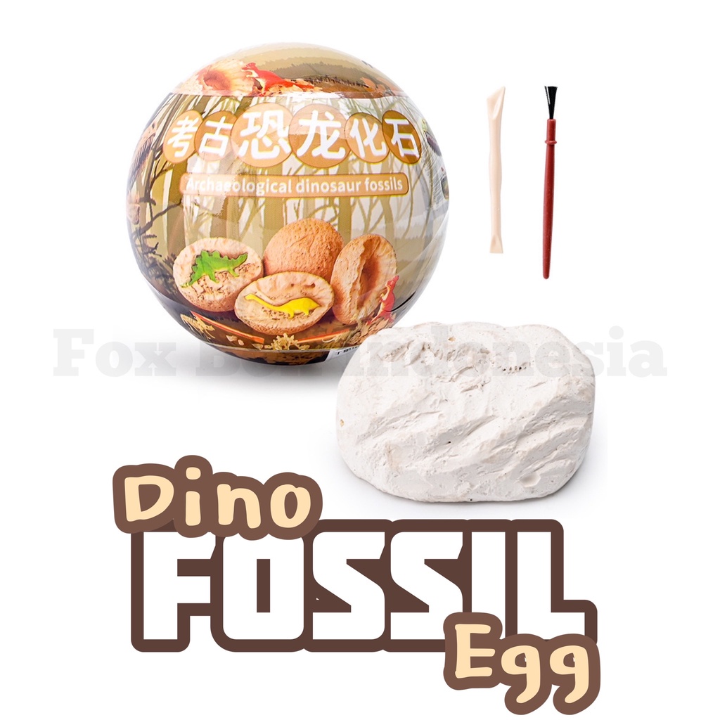 Fossil Egg - Mainan Gali Fosil Dinosaurus Bentuk Telur Arkeologi - Fox Box Indonesia