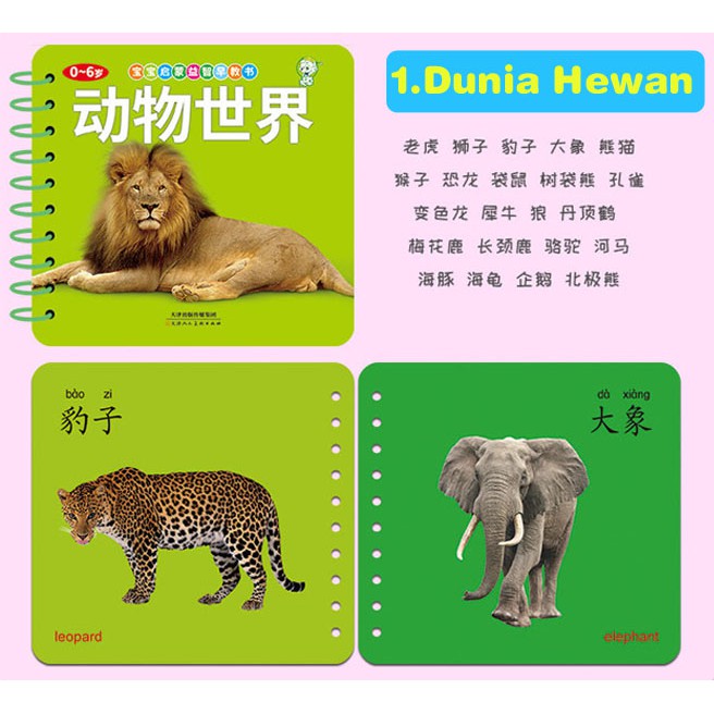 FC-101 Flashcard Belajar Anak Inggris Mandarin Pinyin/Buku Baca Bahasa Asing