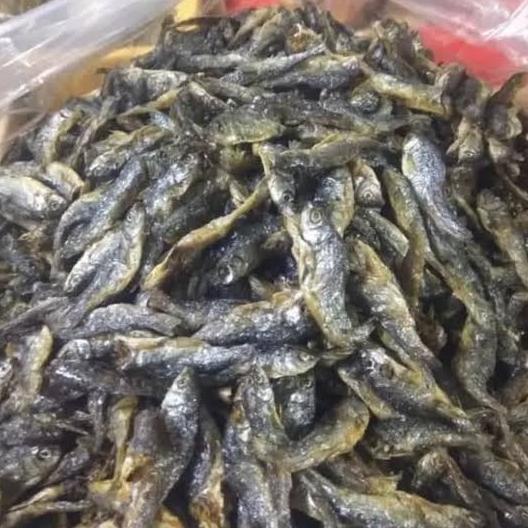 

[COD] ikan bilih danau singkarak(500grm) [COD]