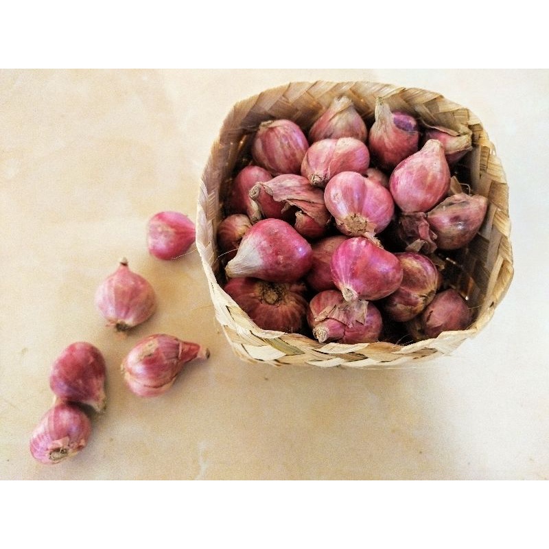 

Brambang Brebes / Bawang Merah