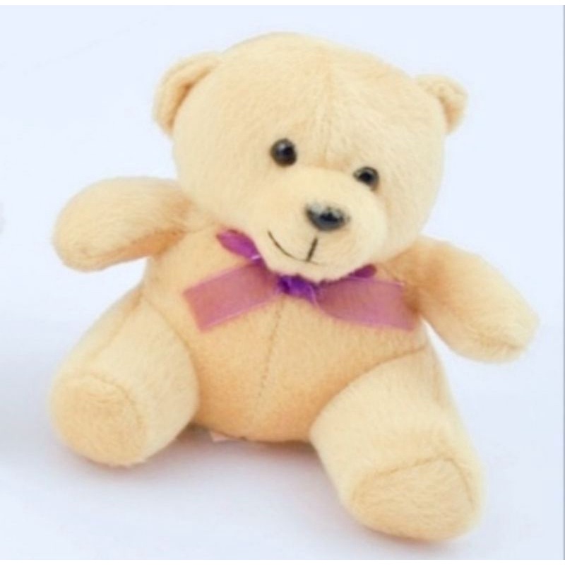 PROMO BONEKA TEDDY BEAR 18 CM / boneka wisuda /Boneka bear mini