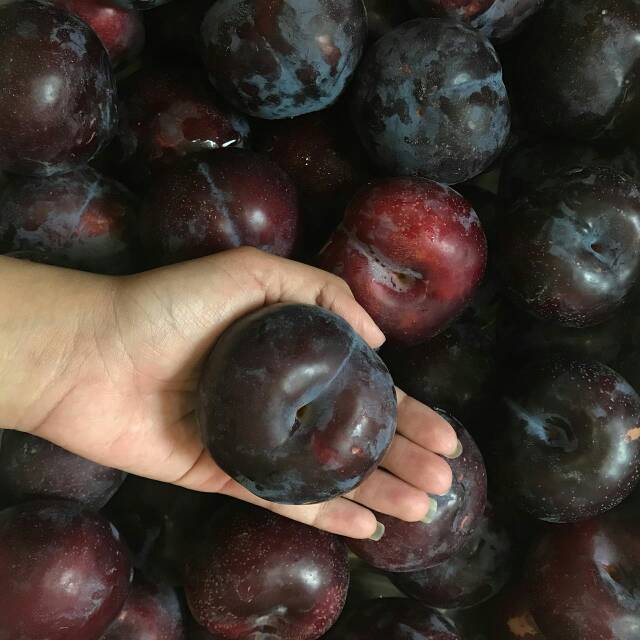 

Black plum