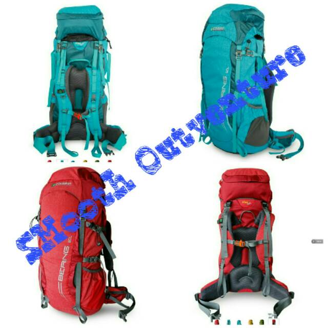 Carrier Consina Bering