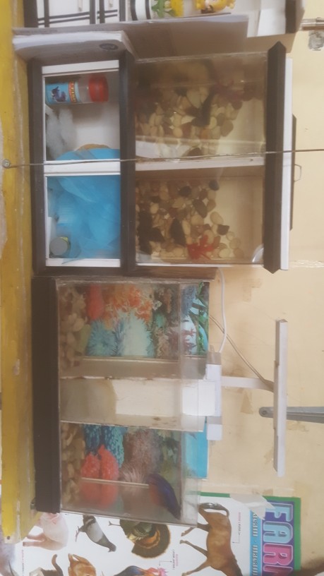 Pompa Air Mancur Mini Dc 3v / 4.5v 100l / H Low Noise Untuk Akuarium Ikan