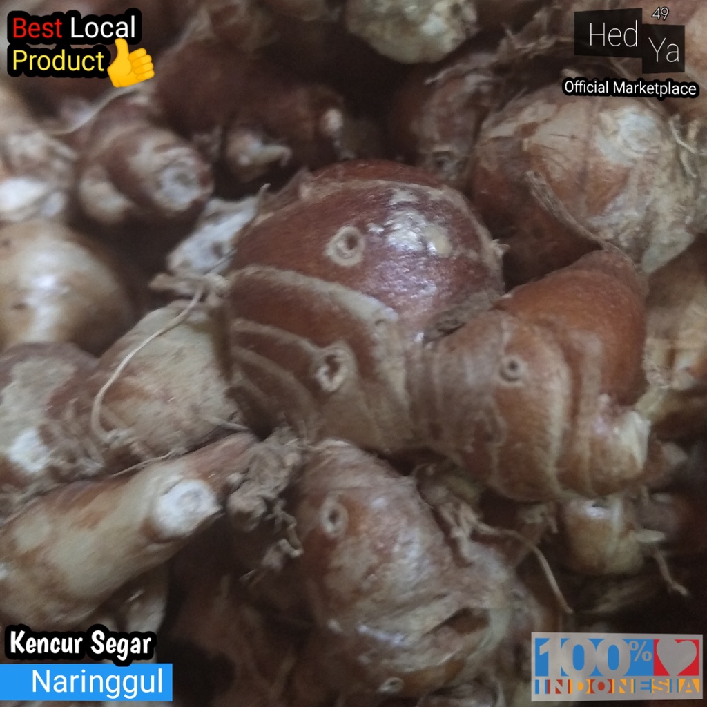 

250g Kencur Segar Cikur Fresh Murah Ekspor Quality Kencur Eceran