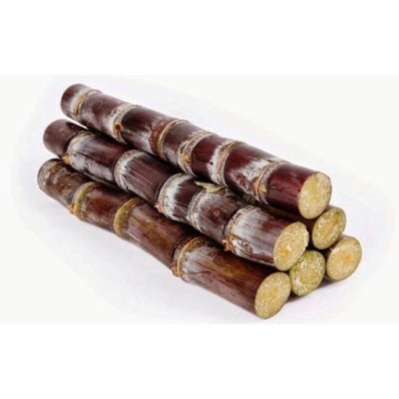 

jual bibit tebu manis tebu hitam/ireng tebu langka