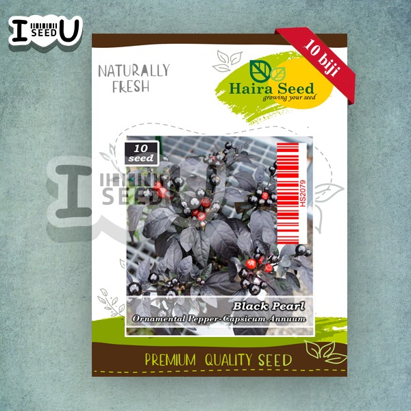 Haira Seed BIbit-Biji Cabe Hias Black Pearl