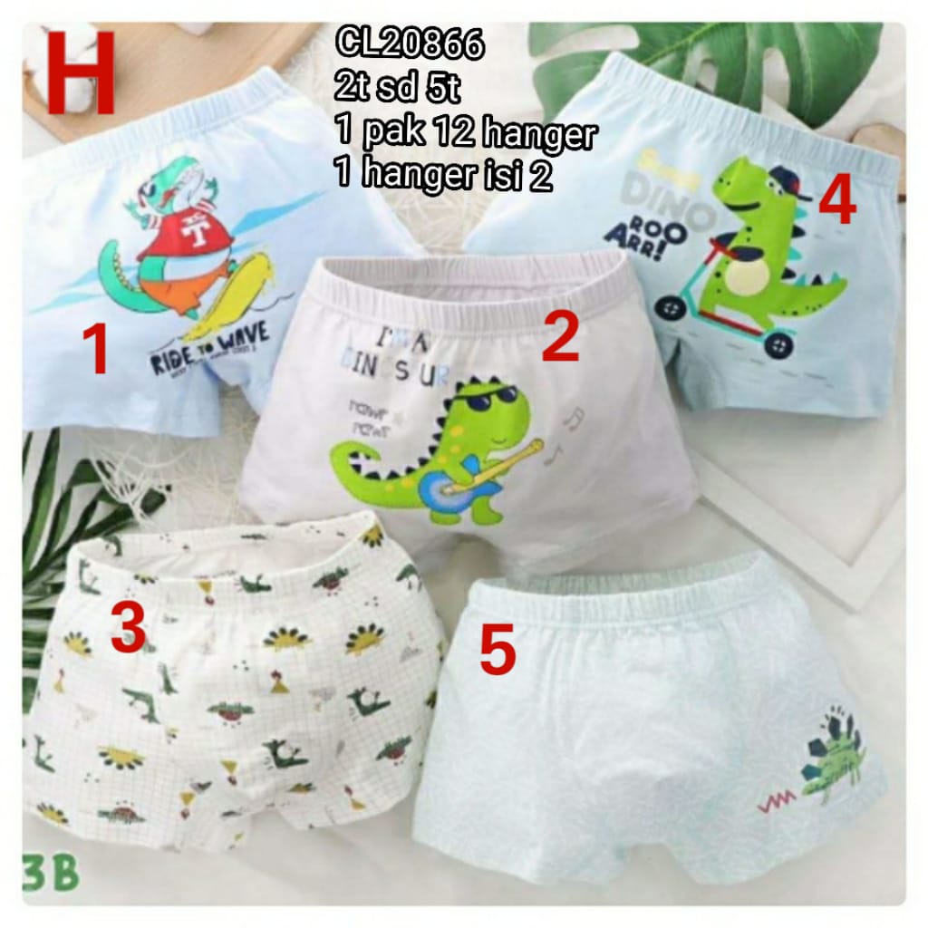 Catell Love Boxer BOY - GRUP 2 (1pcs/pack) / Boxer Anak Laki