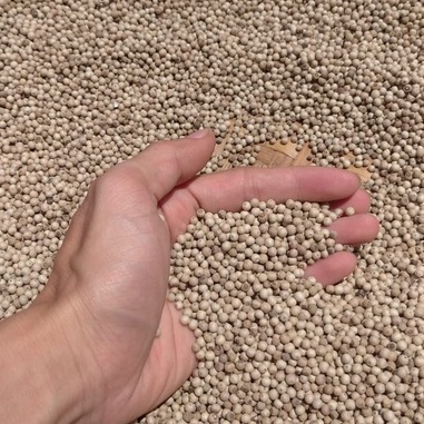 

Lada Putih / Pedes Murni