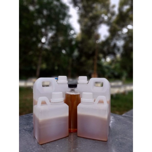 

Madu Kopi Asli Murni