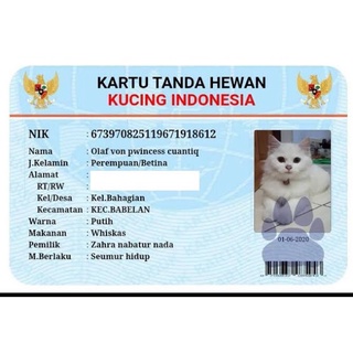 Jual kartu tanda penduduk hewan/kartu kucing/kartu anjing/kartu hewan