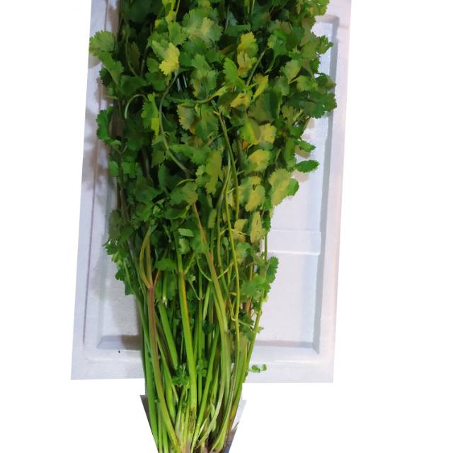 

Wansui/daun ketumbar/100gram