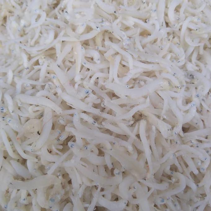 

TN putih 10 kg khusus ojek only