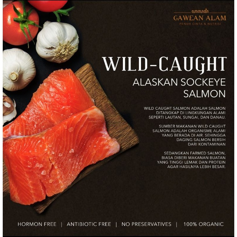 

wild caught salmon alaskan sockeye ikan salmon
