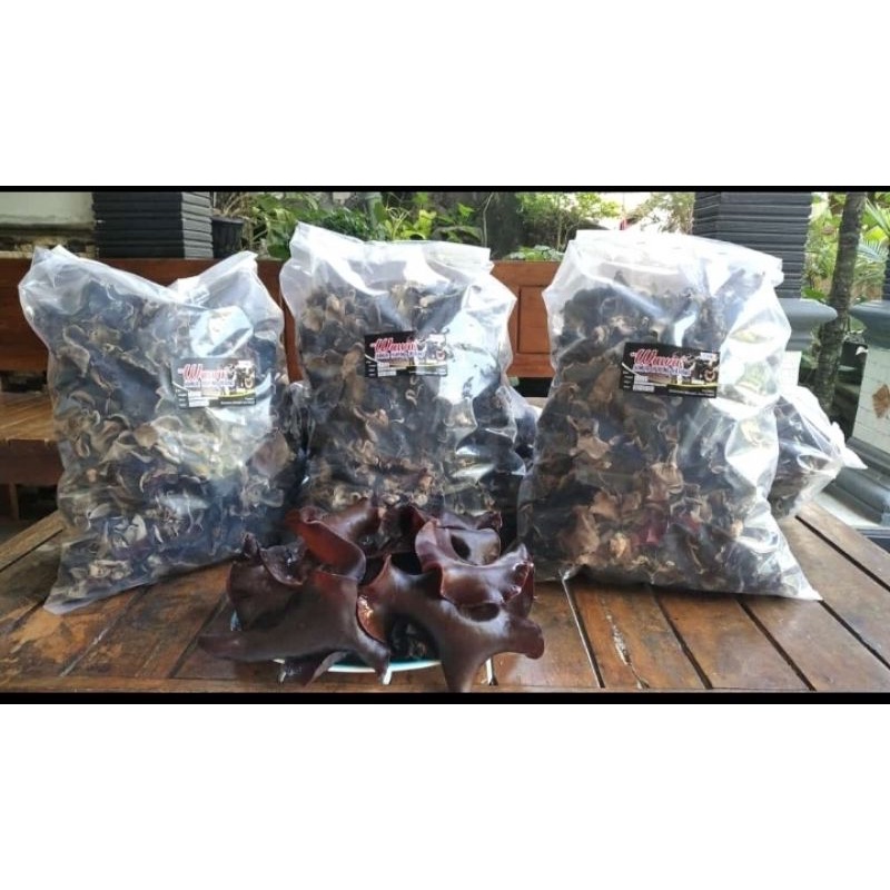 

Jamur Kuping Kering kiloan