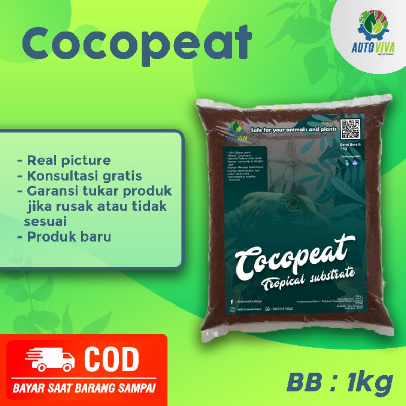 Cocopeat media tanam kering baru