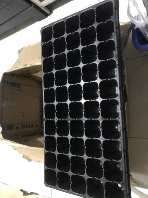 Purie Garden Tray Semai 72 Lubang