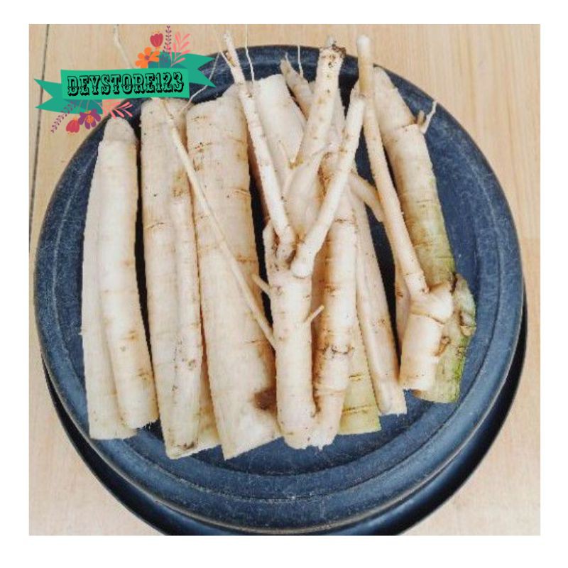 

Akar pepaya gantung husus akar per 500 grm