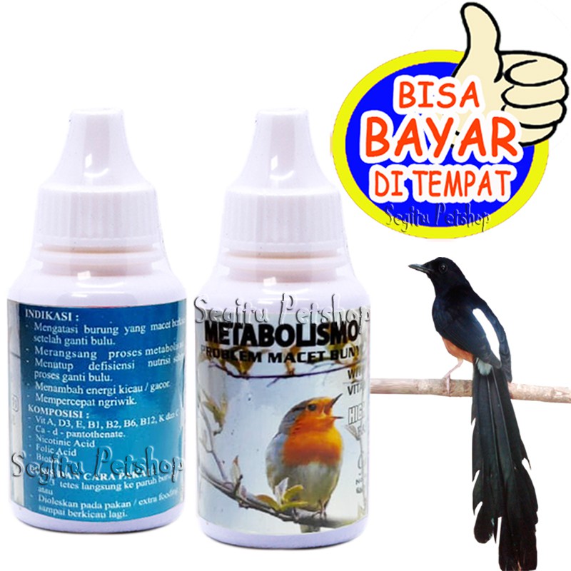 VITAMIN BURUNG MACET BUNYI MURAI KACER KICAU METABOLISMO