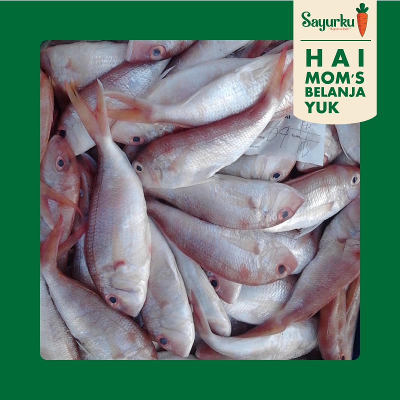 

Ikan Jangki 500gr