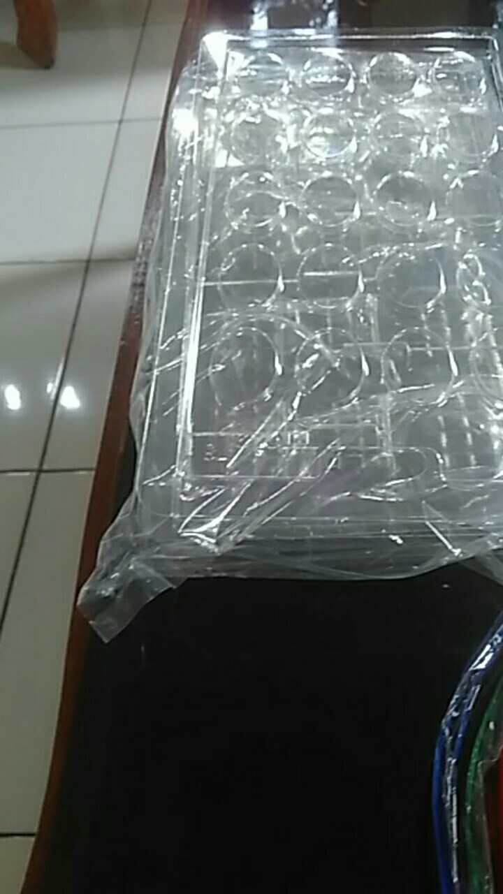 Cetakan Coklat/puding Model Box Kotak Bentuk Hati Valentine / Ttc 148 Gieshop