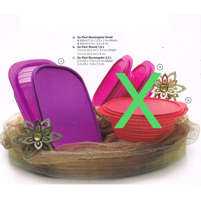 LIMITED  Go Flex Rectangular 2,3L (ada free)