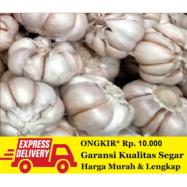 

Bawang Putih Segar 500 gram